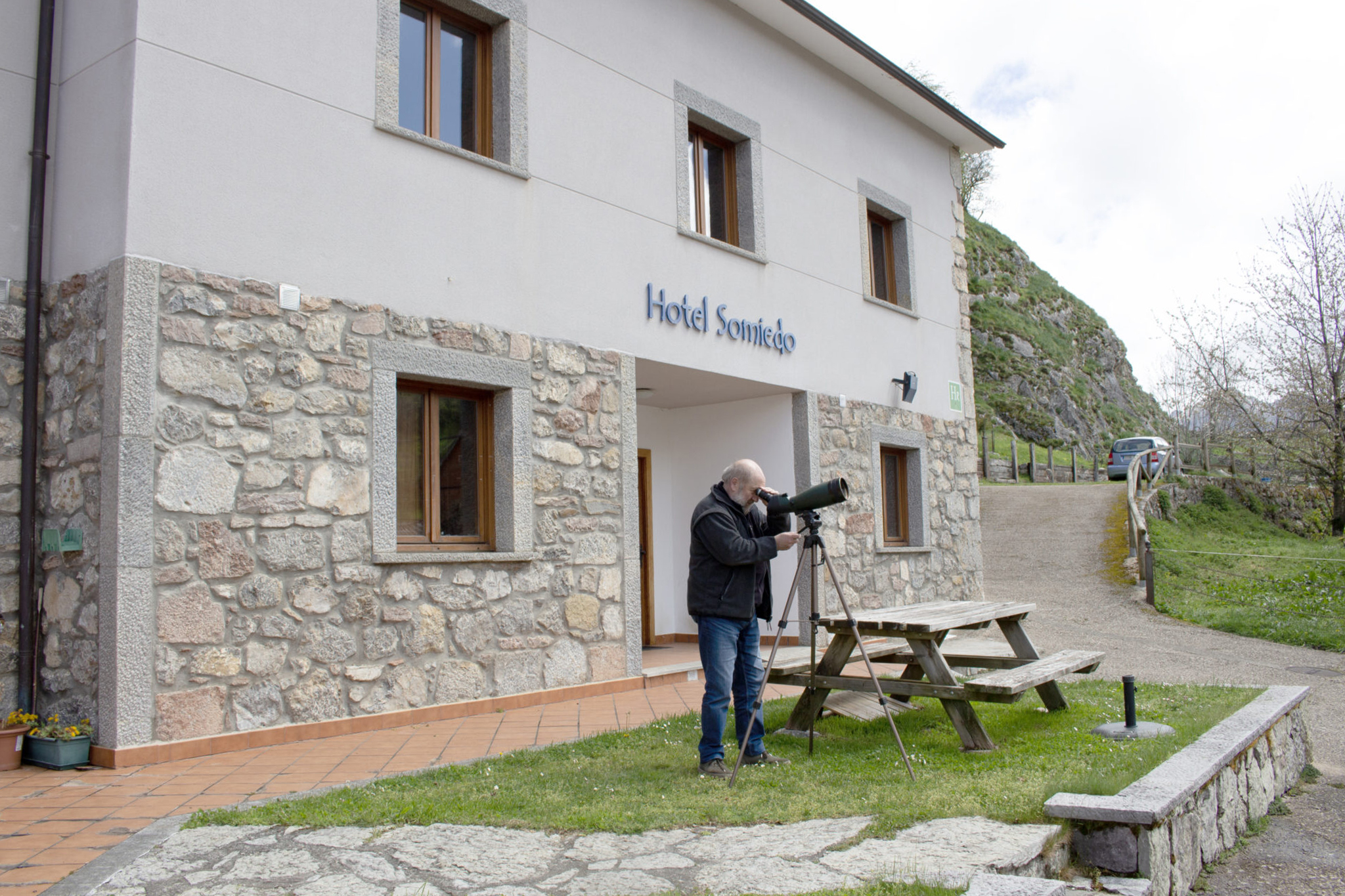 avistamiento osos asturias