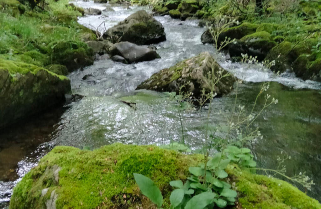 Imagen de rio con encanto en Somiedo